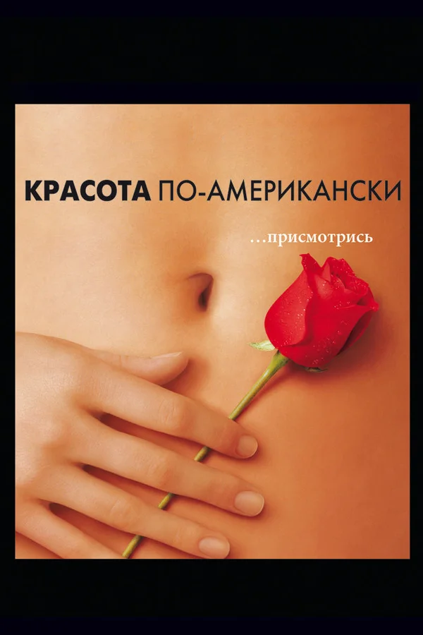 Постер «Красота по-американски»