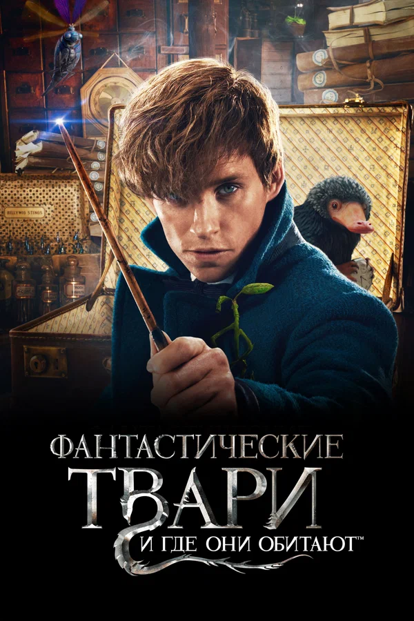 Постер «Фантастические твари и где они обитают»