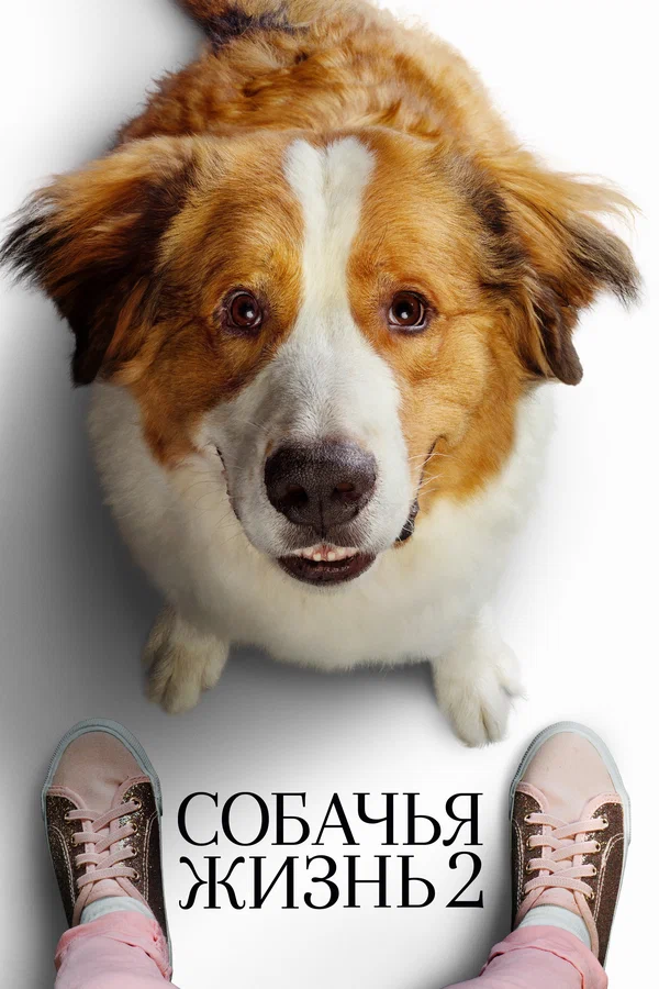 Постер «Собачья жизнь 2»